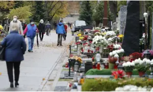Czy można z psem na cmentarz? Przepisy i zasady w Polsce
