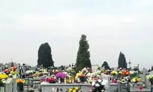 Ile kosztuje montaż ławki na cmentarzu? Ceny, które mogą zaskoczyć
