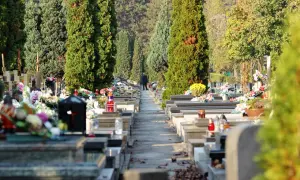 Jak dojechać na cmentarz osobowicki we Wrocławiu - uniknij problemów z dojazdem
