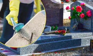 Przyczyny porastania nagrobka mchem i porostami to wilgoć i cień. Zwalczanie ich wymaga regularnego czyszczenia i odpowiednich preparatów.