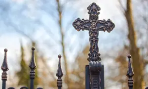 Krzyż na metalowym ogrodzeniu, symboliczne pytanie: jak pogodzić teorię ewolucji z opisem stworzenia świata w biblii?