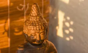 Posąg Buddy w cieniu, symbolizujący pozytywne skutki modlitwy dla zdrowia psychicznego i fizycznego, potwierdzone dowodami naukowymi.