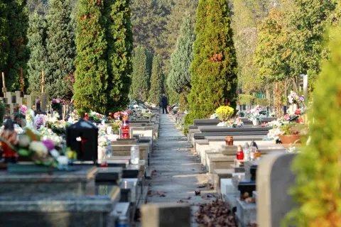 Jak dojechać na cmentarz osobowicki we Wrocławiu - uniknij problemów z dojazdem