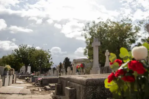 Cmentarz z krzyżami i nagrobkami. Kwiaty na pierwszym planie sugerują, kto jest właścicielem grobu, upamiętniając bliską osobę.