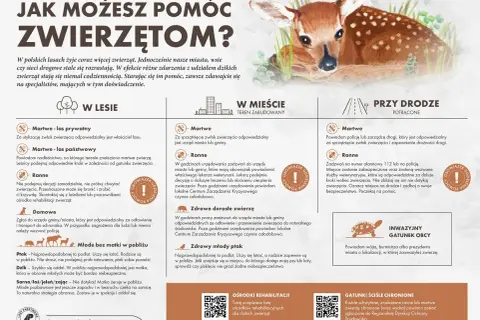 Sanktuarium dla zwierząt w Polsce: jak pomóc potrzebującym zwierzętom