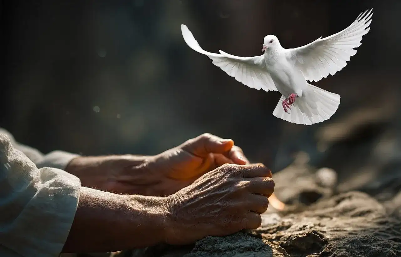 Dłoń wyciągnięta ku białej gołębicy, symbolizującej Ducha Świętego, inspiruje do refleksji, jak czytać pisma święte różnych religii by wzmocnić własną wiarę.