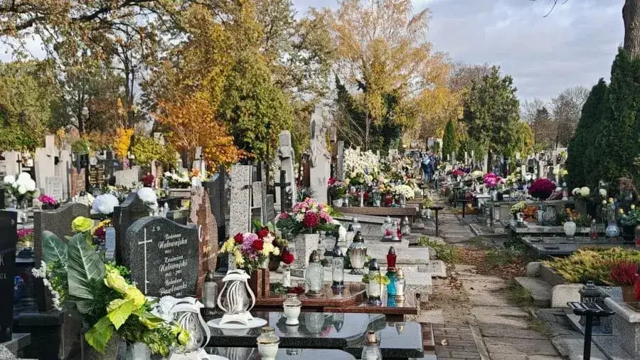 Zdjęcie Jak znaleźć osobę na cmentarzu i uniknąć frustracji w poszukiwaniach
