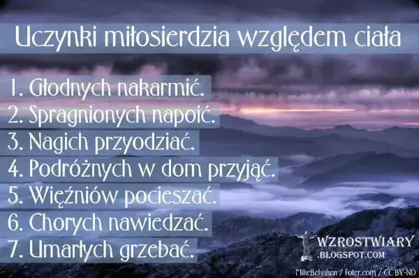 Zdjęcie Po co dusze czyśćcowe przychodzą na ziemię? Ich ważne przesłania