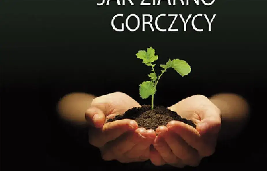 Zdjęcie Wiara jak ziarnko gorczycy – jak mała wiara zmienia życie