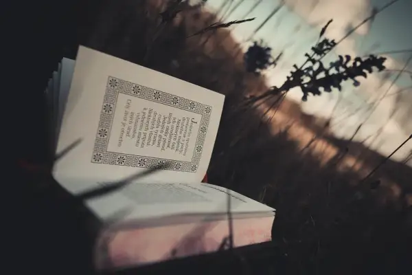 Otwarta księga w trawie, sugerująca refleksję nad tym, gdzie trafia dusza po śmierci.