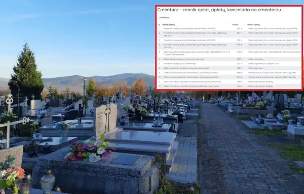 Ile kosztuje piwnica na cmentarzu? Sprawdź ceny i ukryte koszty
