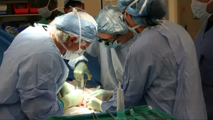 Religie a transplantacja: Co mówią o dawstwie organów?